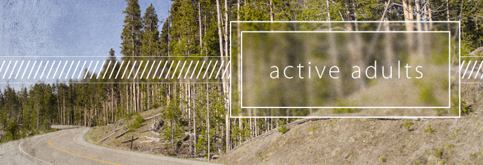 adults_header_activeadults