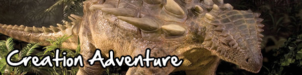 Jr High Creation Adventure Wide Button