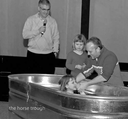 Horse Trough